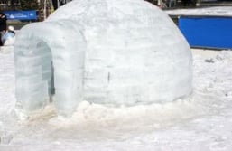 IGLU