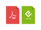 PDF ePUB file format for translation