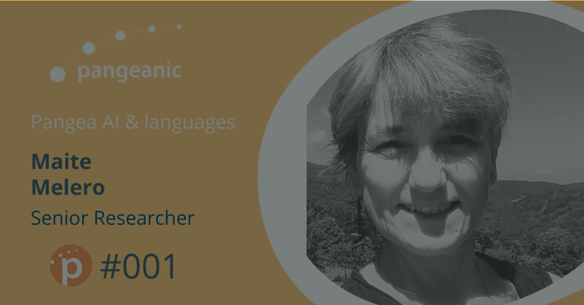 All About Language Technology and Machine Translation With Maite Melero
