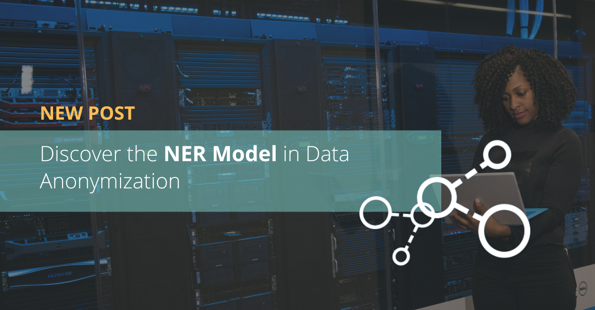 Discover the NER Model in Data Anonymization